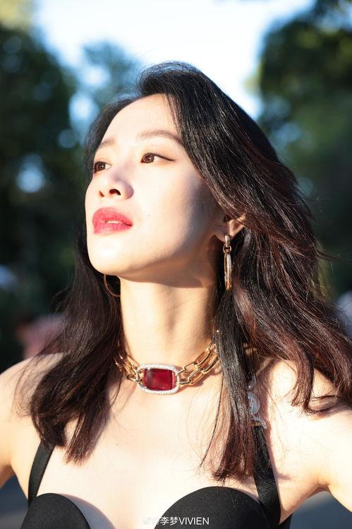 李梦照片爆料大全最新,揭秘明星私生活瞬间  第3张