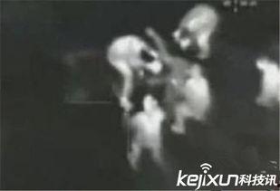 俄罗斯爆料事件视频大全,视频大全深度解析 第1张 俄罗斯爆料事件视频大全,视频大全深度解析 第1张